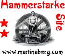 2-Sterne-Hammer-Award