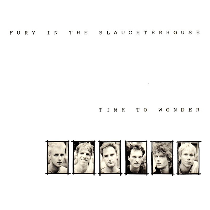 Fury In The Slaughterhouse - Time to wonder (Cover)