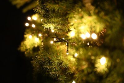 Geschmückter Weihnachtsbaum - lenbernhard / Pixabay